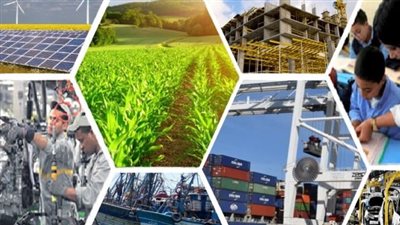 اعرف أكثر الأنشطة الاقتصادية استحواذا لأعلى نسبة من التشغيل