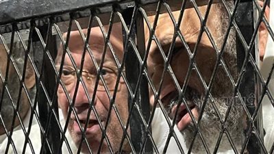 دفاع علاء حسانين في قضية الآثار: أحد المتهمين محبوس منذ 2018 