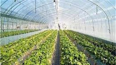 بالتفاصيل.. خطوات تنفيذ مشروع الصوب الزراعية والزراعات المحمية ومستلزماتها