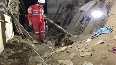 مصرع 9 أشخاص وإصابة 9 آخرين في انهيار عقار سكني بإيران 