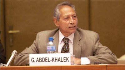 جودة عبد الخالق: بعد الأزمة الأوكرانية يجب تحقيق الأمن الغذائى بهذه الطريقة