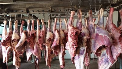 أسعار اللحوم اليوم الجمعة 18 - 2 - 2022 في مصر