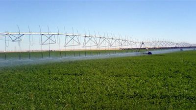  رئيس زراعة الشيوخ: الاستثمار بالقطاع فرصة لدعم الاقتصاد الوطني