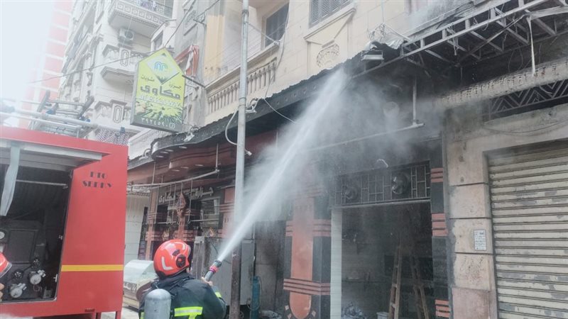الإسكندرية
