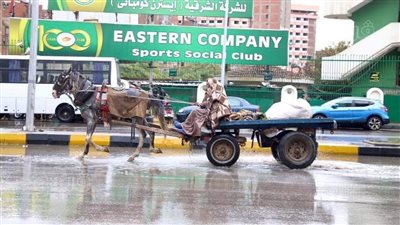 15 صورة ترصد آثار الأمطار على شوارع القاهرة والجيزة 