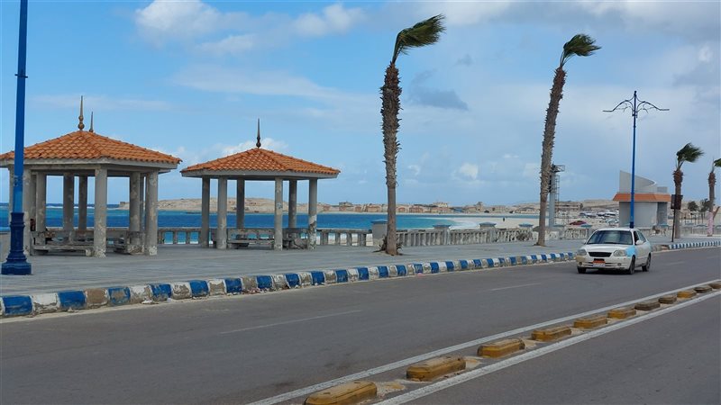 مطروح