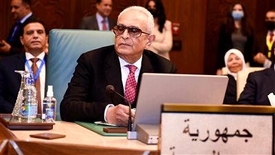  وكيل الشيوخ: البرلمانات العربية حريصة على منع التدخل في شئوننا 