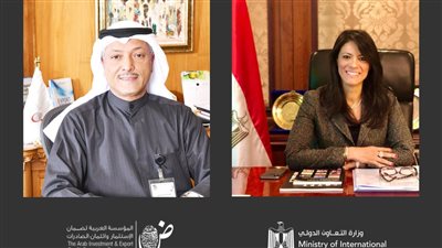 المشاط تبحث التعاون مع مدير المؤسسة العربية لضمان الاستثمار