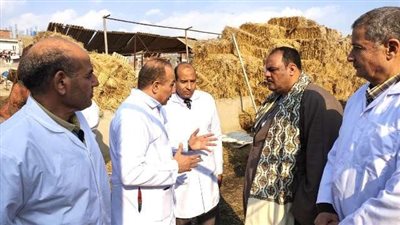  حملات لمتابعة مراكز تجميع الألبان وحظائر الماشية بالشرقية 