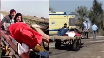 محافظ بورسعيد يكشف تفاصيل نقل مريضة فشل كلوي على عربة كارو | فيديو