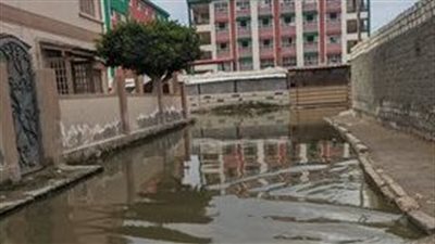 نداء إلى محافظ البحيرة: مساكن الحرير الصناعي تغرق في مياه الصرف الصحي