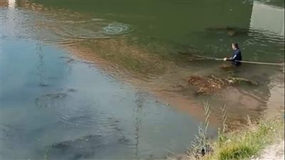 قوات الإنقاذ النهري تواصل البحث عن ضحايا حادث توك توك الإسماعيلية