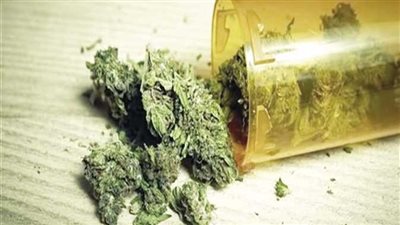 عسل أسود.. مصانع العسل في الصعيد تتورط في إنتاج الإستروكس وشركاه