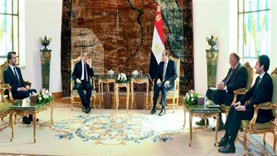 ساركوزي: نعتز بتميز العلاقات بين مصر وفرنسا.. والمشروعات التنموية امتداد لعظمة الحضارة العريقة