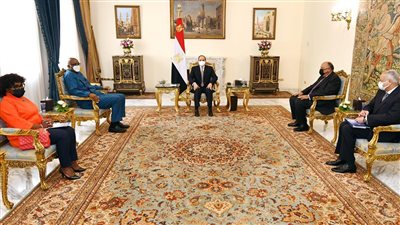 السيسي يستقبل المبعوث الأمريكي الخاص بالمناخ ووفد الآلية الأفريقية لمراجعة النظراء ورئيس فرنسا الأسبق