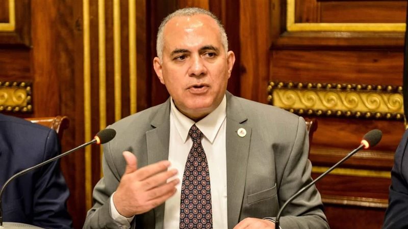 محمد عبد العاطى وزير
