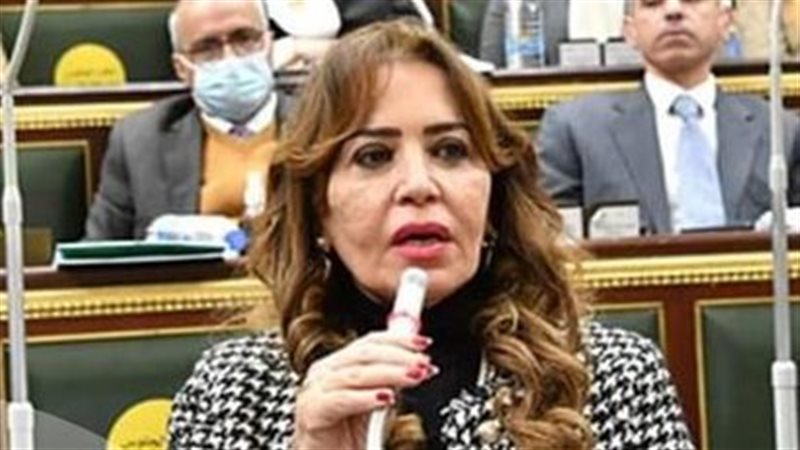 النائبة جيهان البيومى