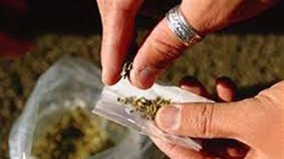 الكيف الرخيص.. خطورتها فى صعوبة الكشف عنها معمليا.. و17% نسبة انتشارها بين المدمنين