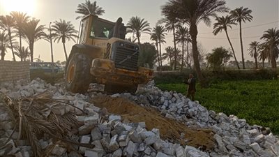إزالة 31 حالة بناء وتعد على أملاك الدولة والأراضي الزراعية بالجيزة | فيديو