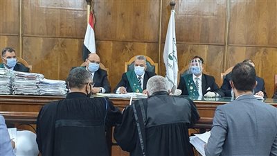 6 مبادئ قضائية للإدارية العليا بفصل الفنان بتهمة السخرية من الأنبياء