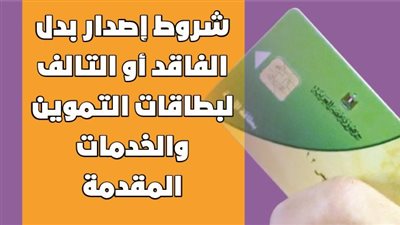 شروط إصدار بدل الفاقد أو التالف لبطاقات التموين والخدمات المقدمة | إنفوجراف