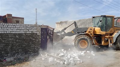 إزالة 29 حالة تعد على أملاك الدولة والأراضي الزراعية بالجيزة | فيديو وصور