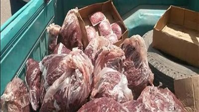 إحباط ترويج 79 طن أسماك ولحوم ودواجن فاسدة قبل بيعها للمواطنين