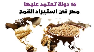 16 دولة تعتمد عليها مصر في استيراد القمح| إنفوجراف