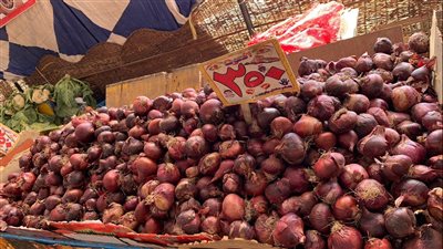 تراجع نسبي في أسعار الخضروات والفاكهة بأسواق الإسماعيلية | صور