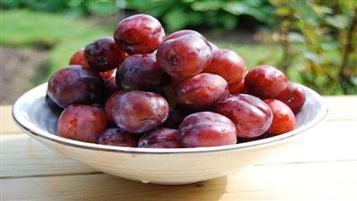 تفسير رؤية البرقوق في المنام وعلاقتها بالزواج عن حب 