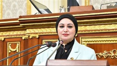 وكيلة القوى العاملة بالبرلمان تطالب بإغلاق أي جمعيات أهلية لا تقوم بدورها