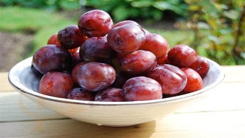 تفسير رؤية البرقوق