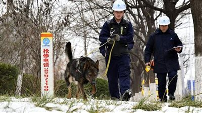 اعتقال رجل عض كلبًا في كاليفورنيا بالولايات المتحدة 