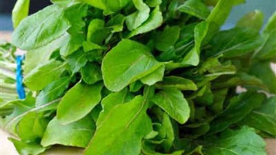 دراسة تكشف لماذا الجرجير مفيد لصحة القلب | فيديو 