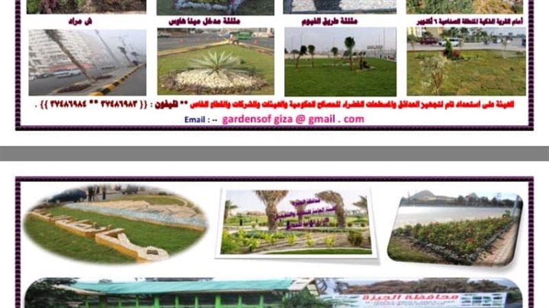 معرض الزهور بحديقة