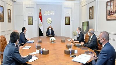 السيسي يكلف بتعزيز التعاون مع شركات القطاع الخاص لتوطين صناعة السيارات الكهربائية في مصر