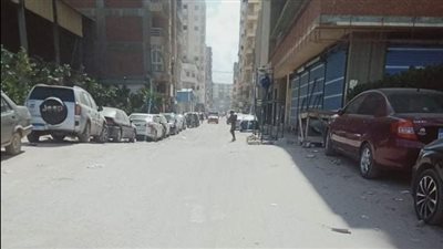 سطوع أشعة الشمس ورياح شديدة في الإسكندرية | فيديو