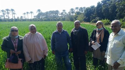 متابعة زراعات القمح وحملات إرشادية للمزارعين بالإسماعيلية | صور