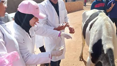 جامعة الوادي الجديد تختتم أعمال القوافل البيطرية الزراعية |صور 