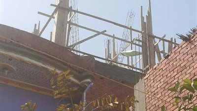 حملات مكبرة لإزالة التعديات على الأراضي الزراعية بالشرقية 