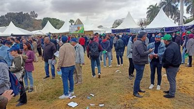 توافد الناخبين على انتخابات المهندسين في القاهرة | صور