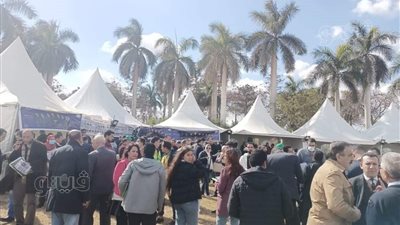 بدء التصويت في انتخابات المهندسين بالقاهرة