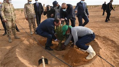  مستجدات مشروعات استصلاح الأراضي في جنوب الوادى بتوشكى