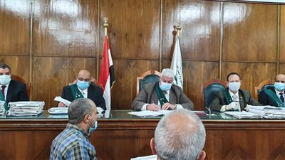 الإدارية العليا تفصل مدير مدرسة ومعلمة بتهمة الفعل الفاضح