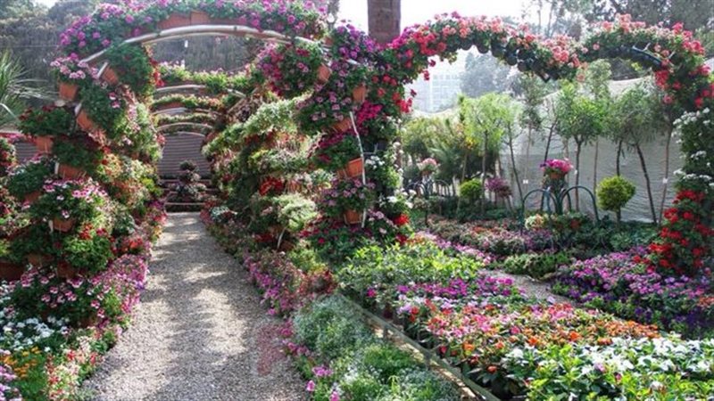 معرض الزهور في الجيزة