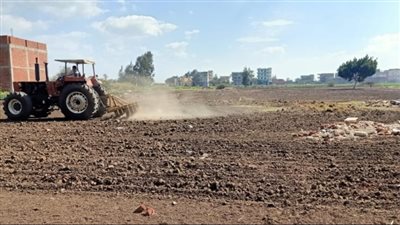 إزالة 11 حالة تبوير لـ12 ألف متر وإعادتها للزراعة بديرب نجم بالشرقية | صور 