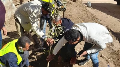 رفع 35 طن قمامة في حملة نظافة وتشجير بساحل سليم بأسيوط 