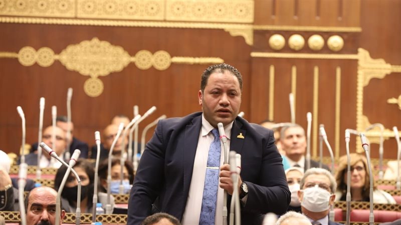 النائب مصطفى سلمان