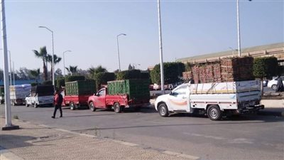 حملة مكبرة بسوق الجملة في أكتوبر لضبط المخالفات |صور