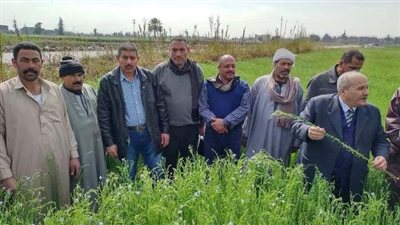 زراعة الشرقية: يوم حقلي إرشادي عن محصول الكتان بقرى كراديس وابومتنا